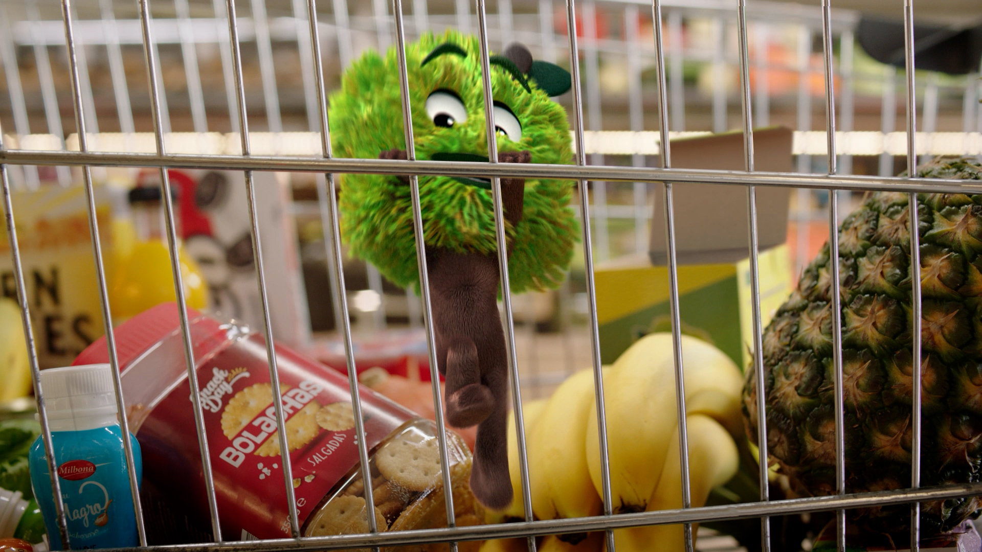 LIDL_0001