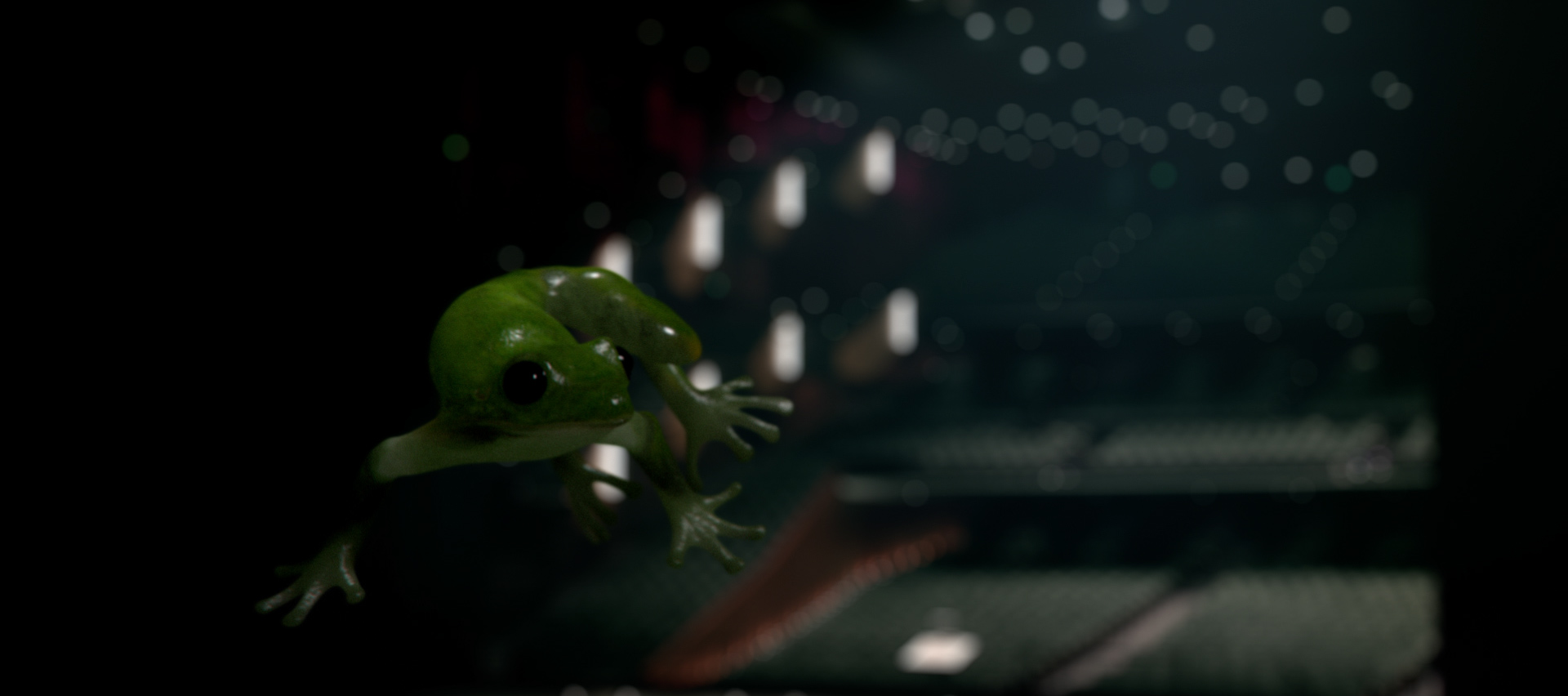 sapo_crop_0075