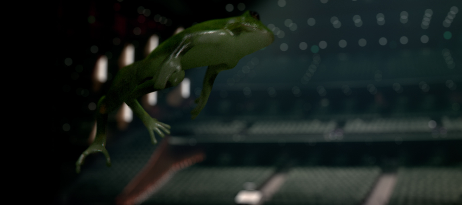 sapo_crop_0076