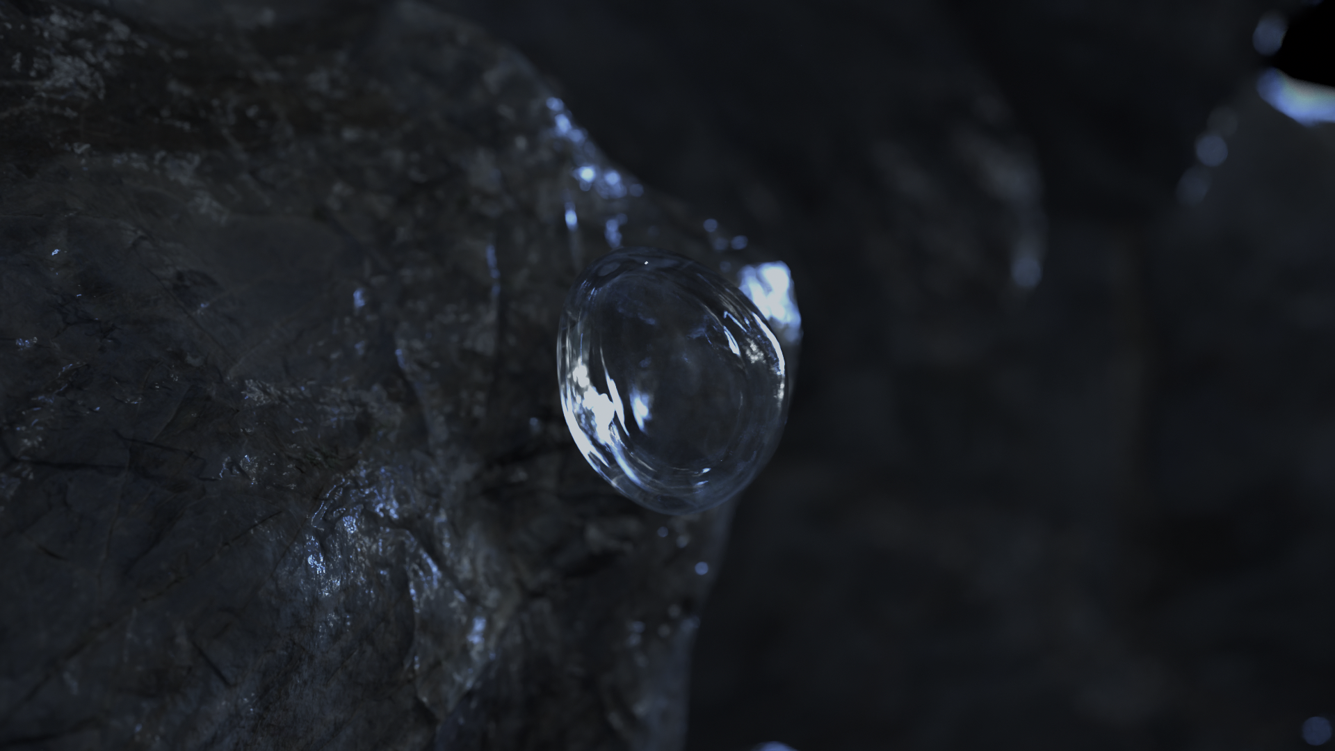 Luso_Ciclo_0003