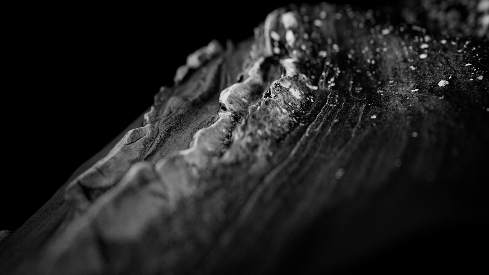 TM6_Black-0-00-02-09