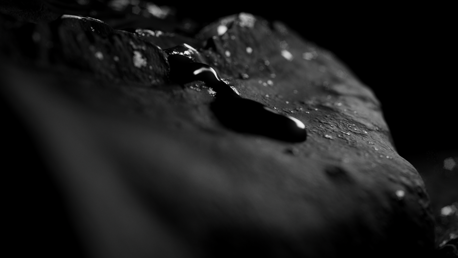 TM6_Black-0-00-05-00