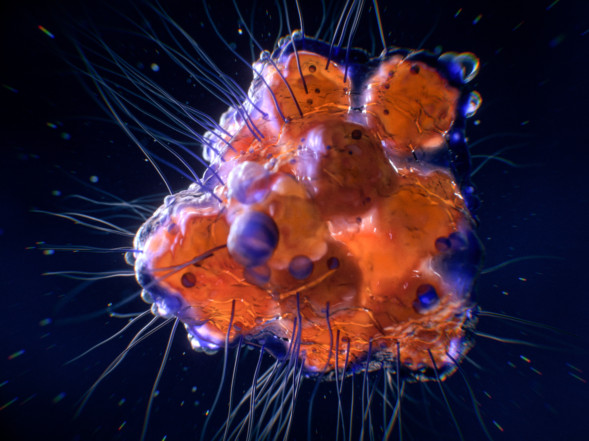 Cell_007_HD_Slow-00023