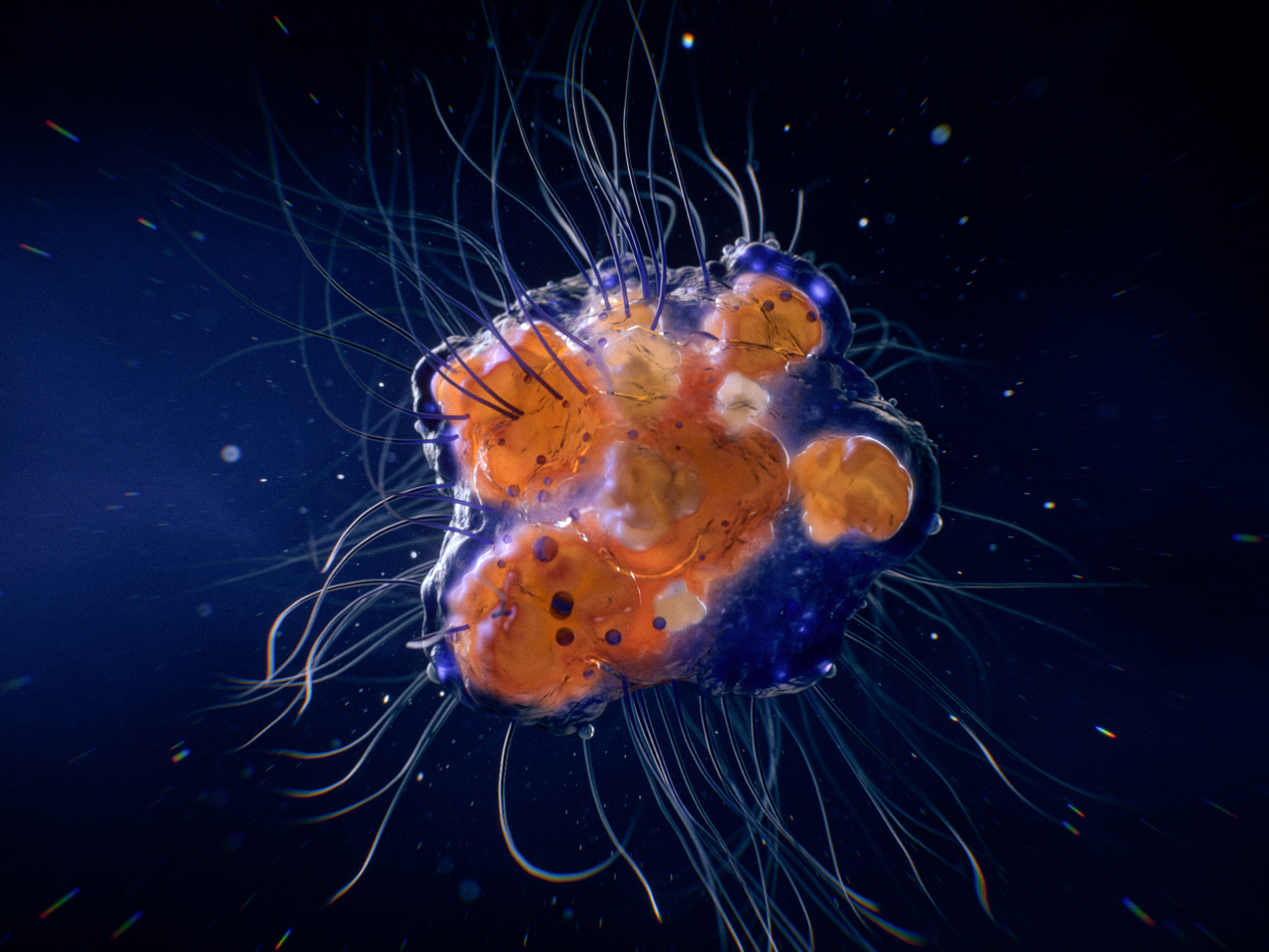 Cell_007_HD_Slow-00384