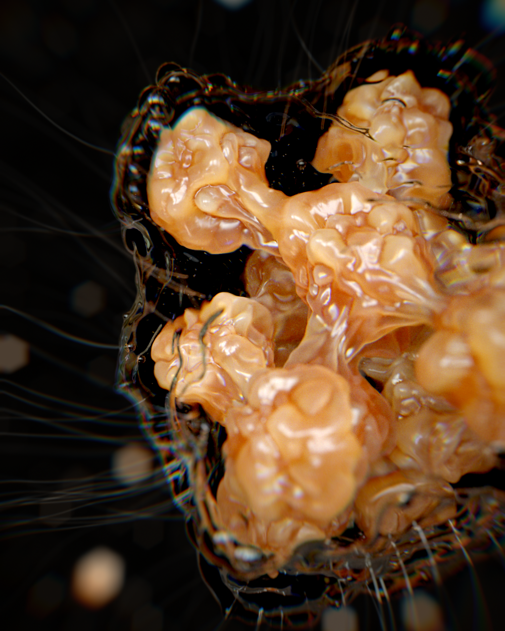 Cell_02