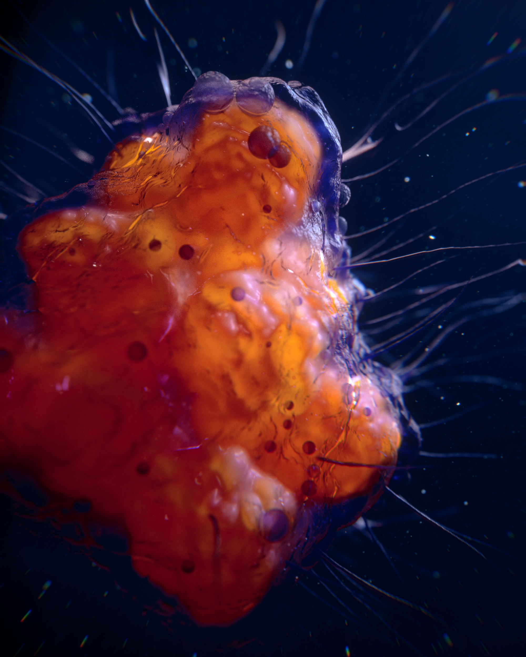 Cell_04