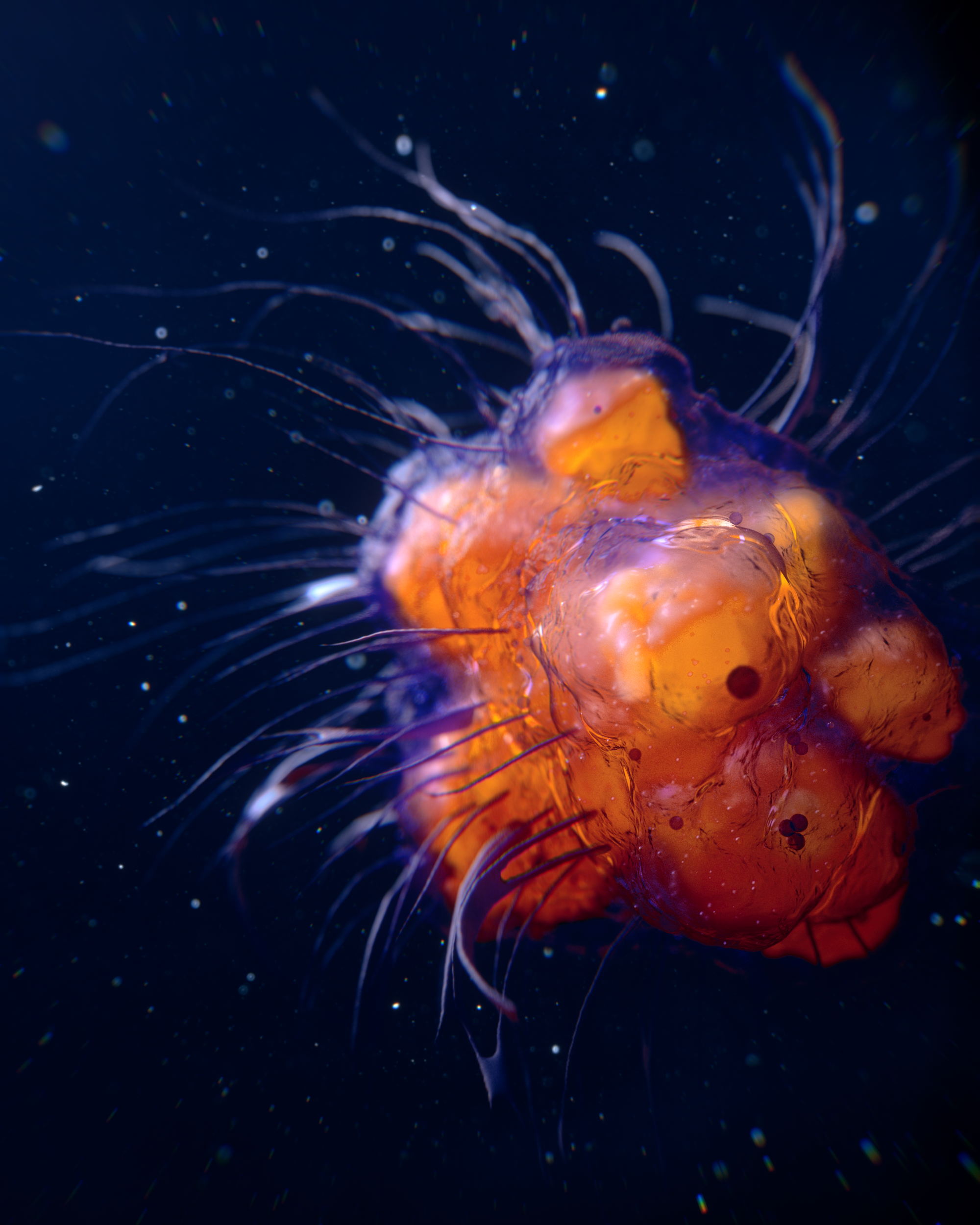 Cell_05