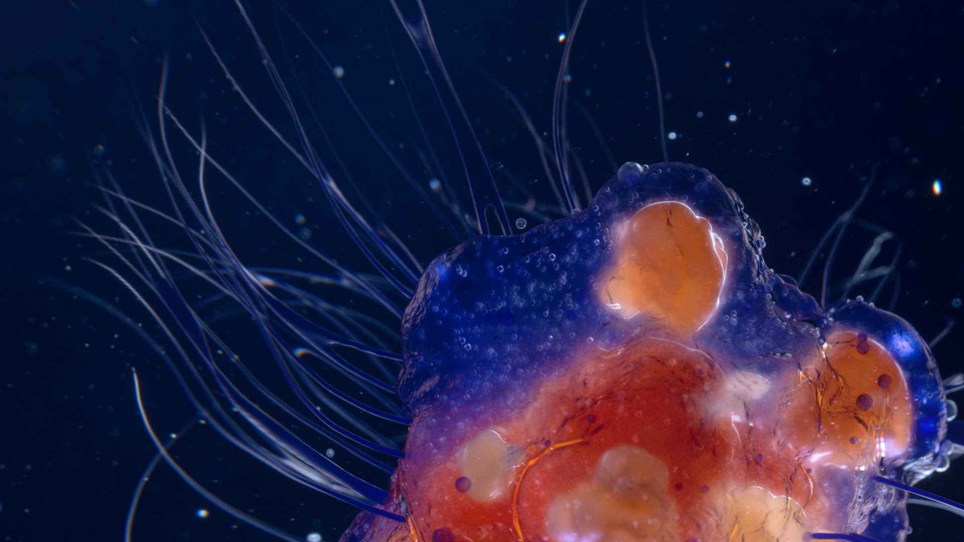 Cell_06