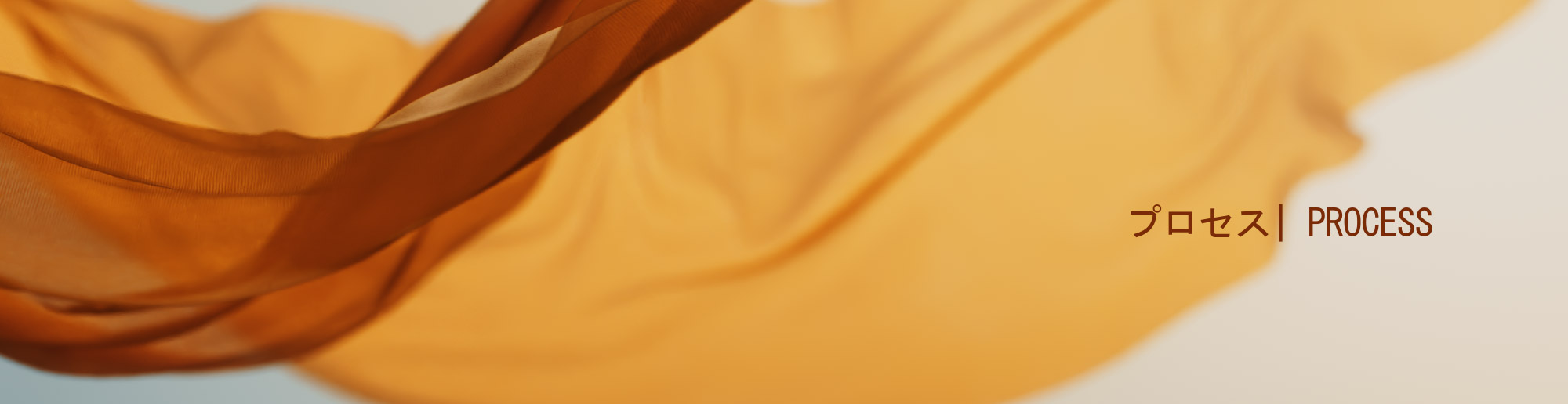 Banner_Haru_processo