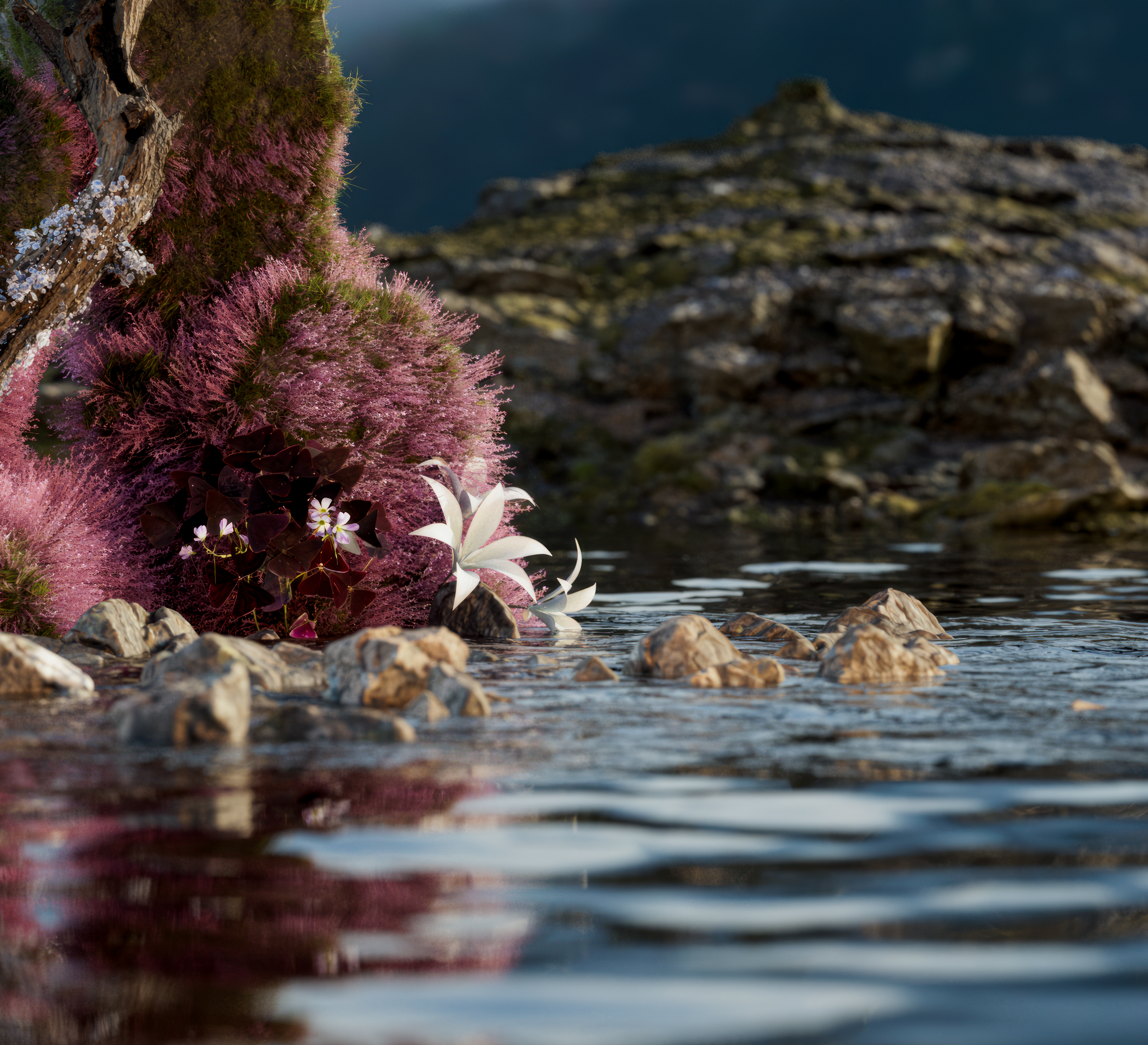 Close_up_01-2