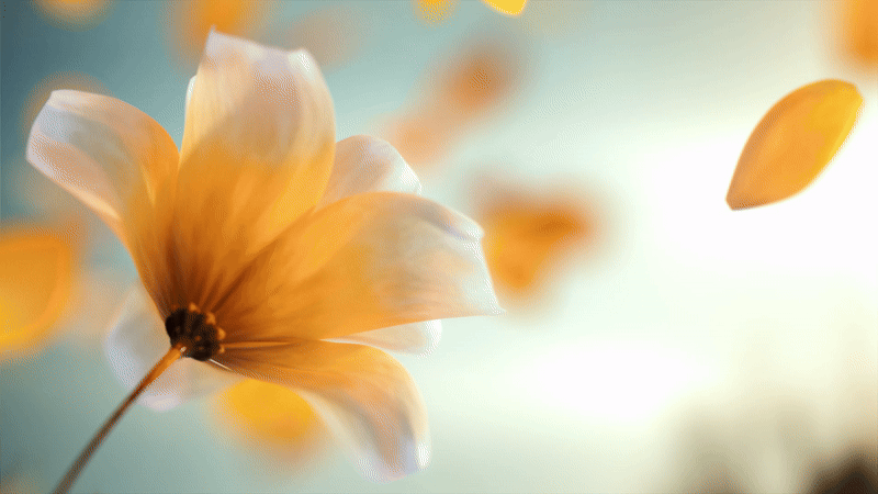 Haru_Flower_03