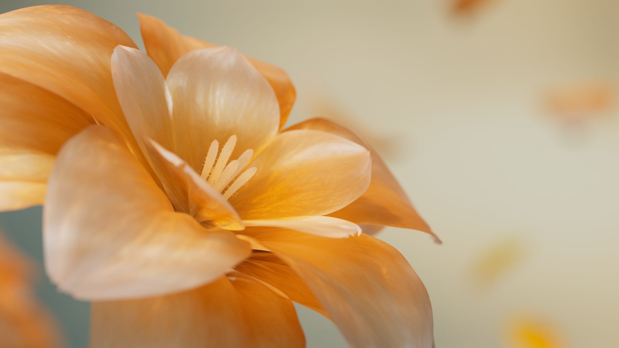 Taio_Flower_03C 3 (0-00-02-17)_1