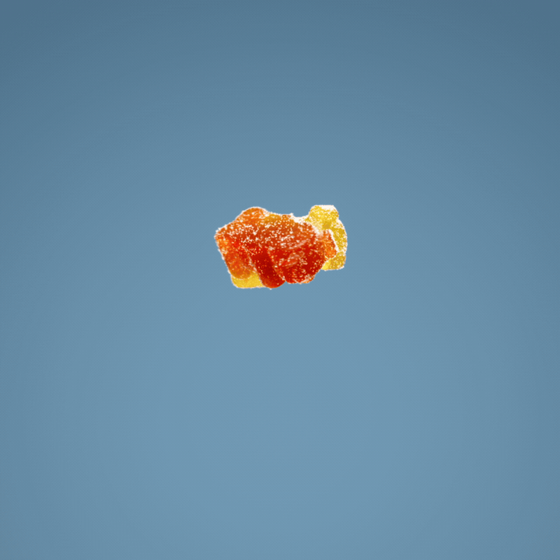 GOMA_SHOT_INTRO_01_SUGAR_Square