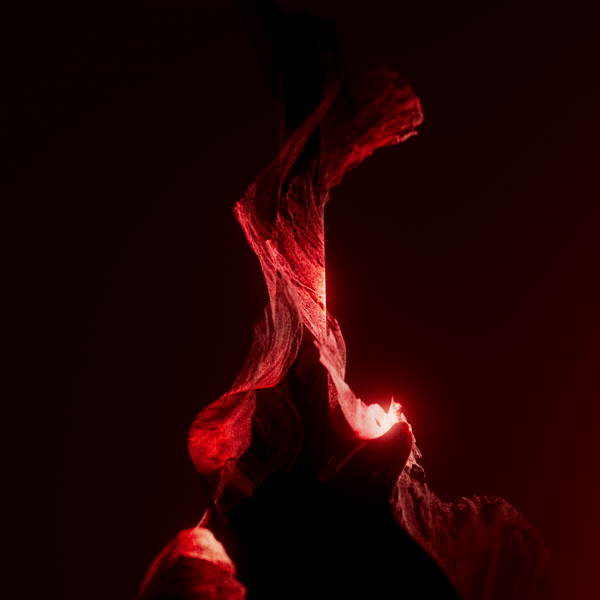 Guitar_Spline2